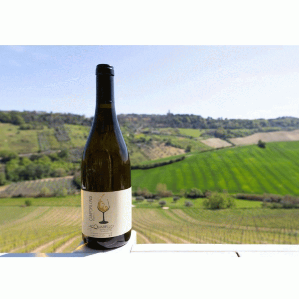 Bottiglia di Falerio DOC