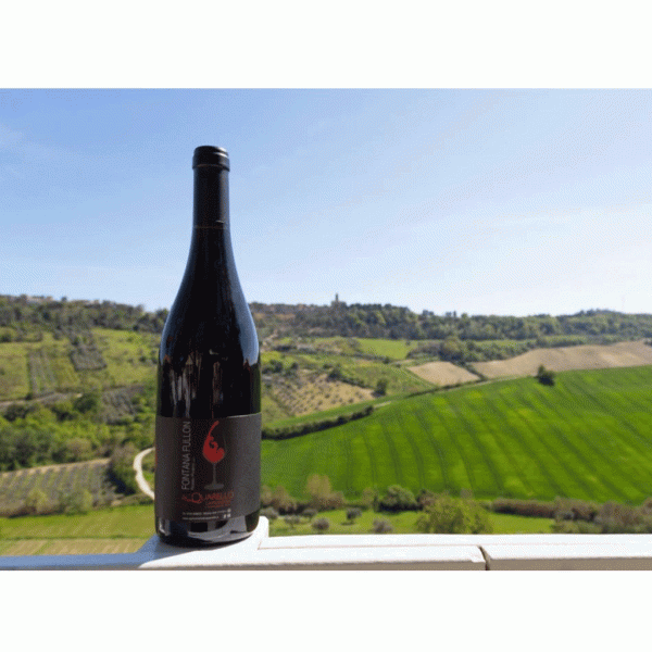 Bottiglia di Rosso Piceno DOC